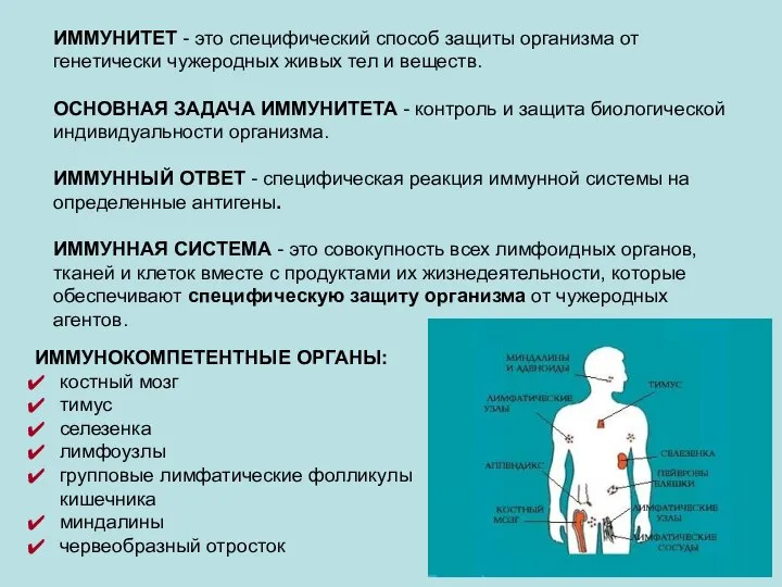 ИММУНИТЕТ - это специфический способ защиты организма от генетически чужеродных живых тел