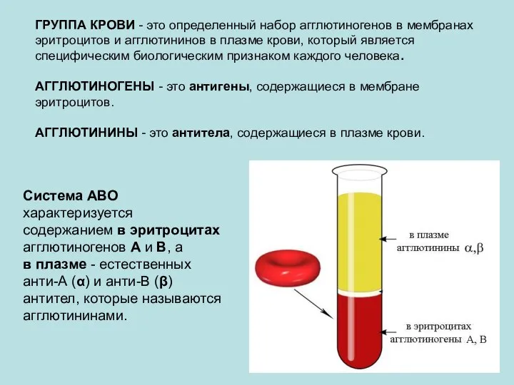 ГРУППА КРОВИ - это определенный набор агглютиногенов в мембранах эритроцитов и агглютининов