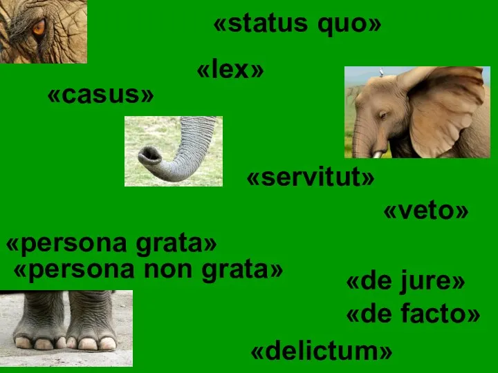 «status quo» «casus» «persona grata» «persona non grata» «de jure» «de facto» «delictum» «veto» «servitut» «lex»