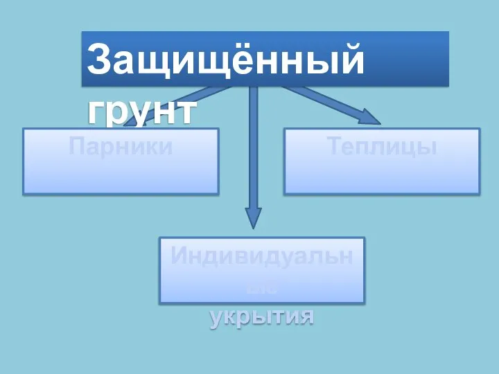 Защищённый грунт Индивидуальные укрытия Парники Теплицы