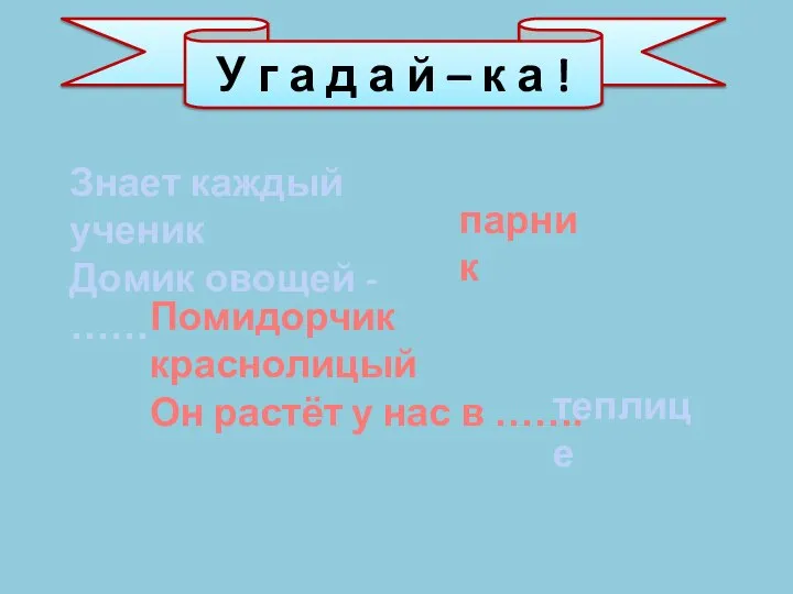 Знает каждый ученик Домик овощей - …… парник Помидорчик краснолицый Он растёт