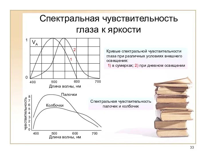 Спектральная чувствительность глаза к яркости Кривые спектральной чувствительности глаза при различных условиях