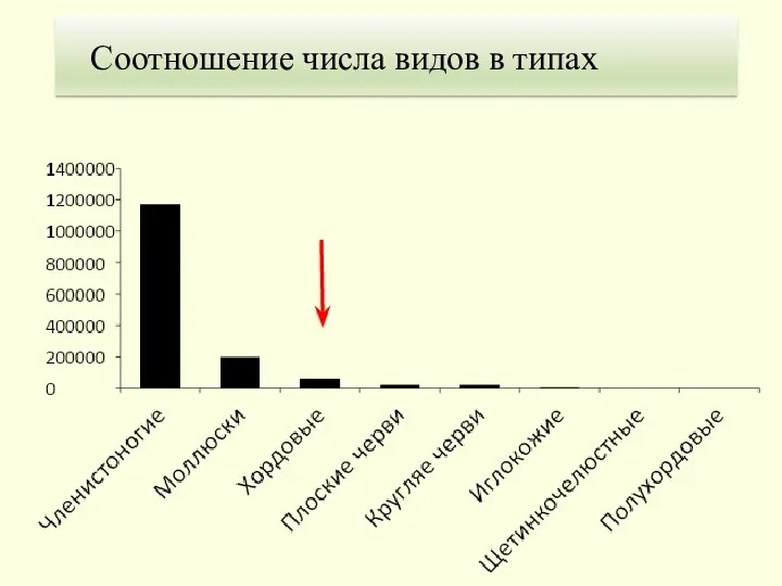 Соотношение числа видов в типах