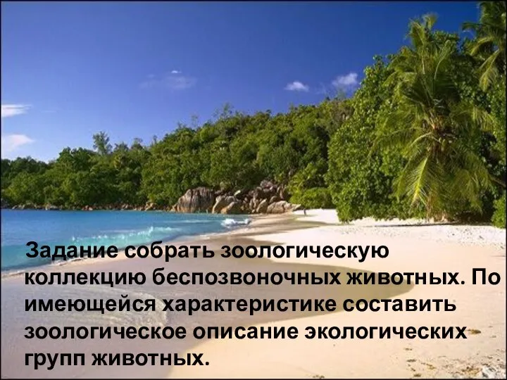 Задание собрать зоологическую коллекцию беспозвоночных животных. По имеющейся характеристике составить зоологическое описание экологических групп животных.