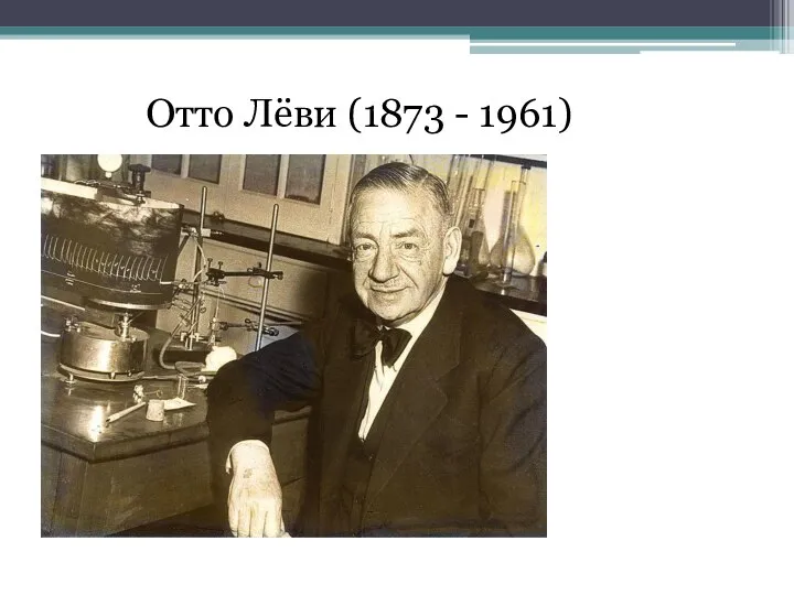 Отто Лёви (1873 - 1961)