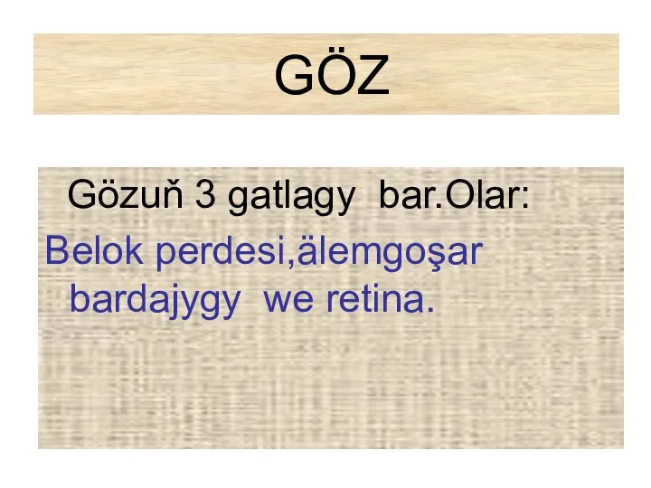 GÖZ Gözuň 3 gatlagy bar.Olar: Belok perdesi,älemgoşar bardajygy we retina.