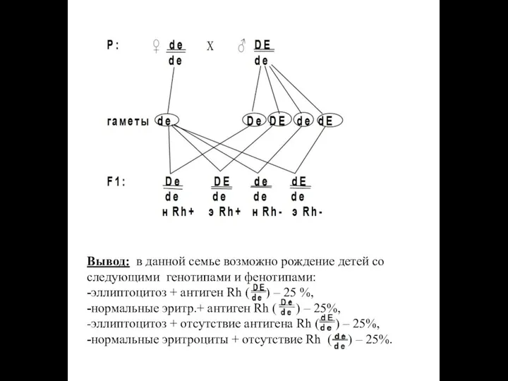 Вывод: в данной семье возможно рождение детей со следующими генотипами и фенотипами: