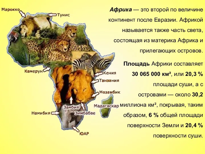 Африка — это второй по величине континент после Евразии. Африкой называется также