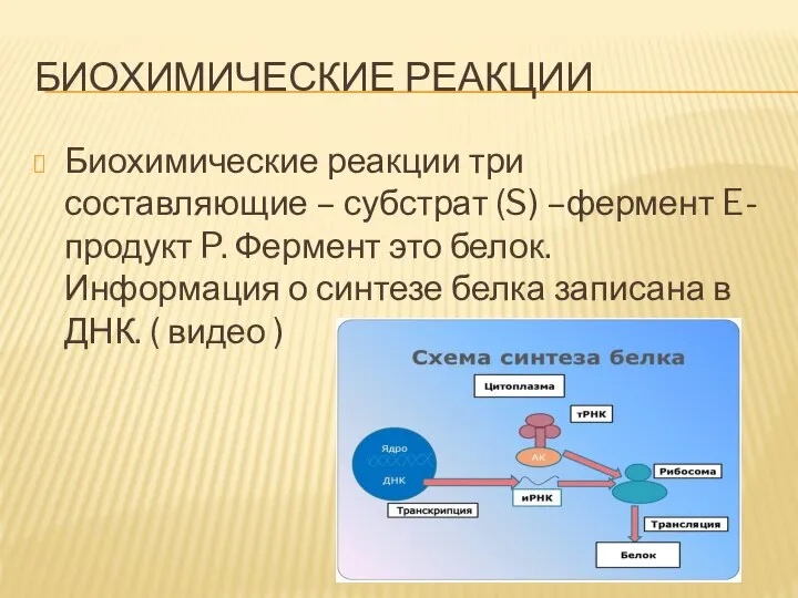 БИОХИМИЧЕСКИЕ РЕАКЦИИ Биохимические реакции три составляющие – субстрат (S) –фермент E- продукт