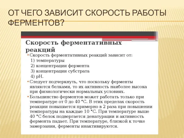 ОТ ЧЕГО ЗАВИСИТ СКОРОСТЬ РАБОТЫ ФЕРМЕНТОВ?