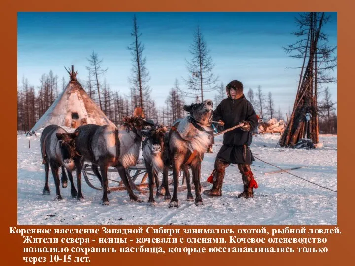 Коренное население Западной Сибири занималось охотой, рыбной ловлей. Жители севера - ненцы