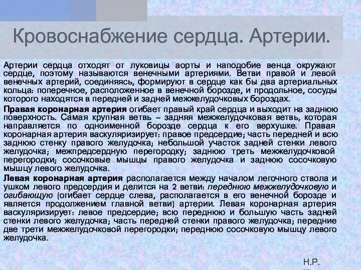 Кровоснабжение сердца. Артерии. Артерии сердца отходят от луковицы аорты и наподобие венца