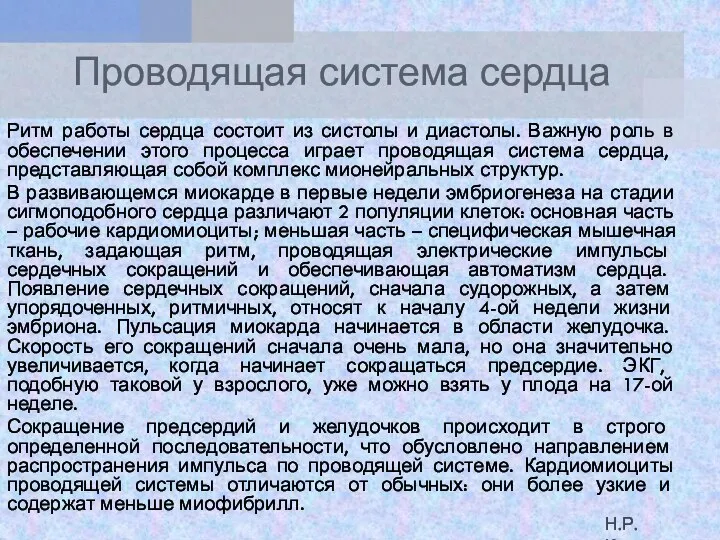 Проводящая система сердца Ритм работы сердца состоит из систолы и диастолы. Важную