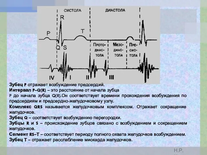 Зубец P отражает возбуждение предсердий. Интервал P–Q(R) – это расстояние от начала