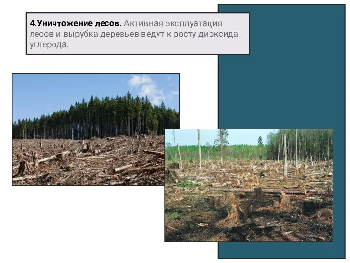 4.Уничтожение лесов. Активная эксплуатация лесов и вырубка деревьев ведут к росту диоксида углерода.