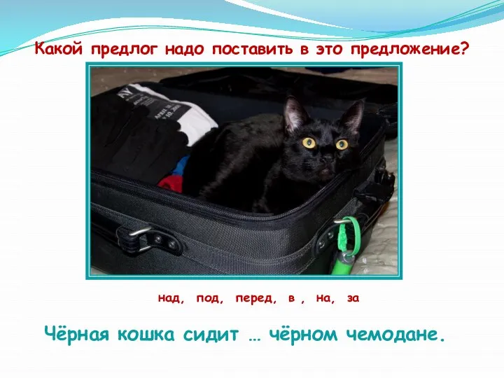 Чёрная кошка сидит … чёрном чемодане. Какой предлог надо поставить в это