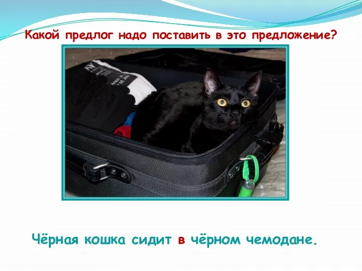 Чёрная кошка сидит в чёрном чемодане. Какой предлог надо поставить в это предложение?