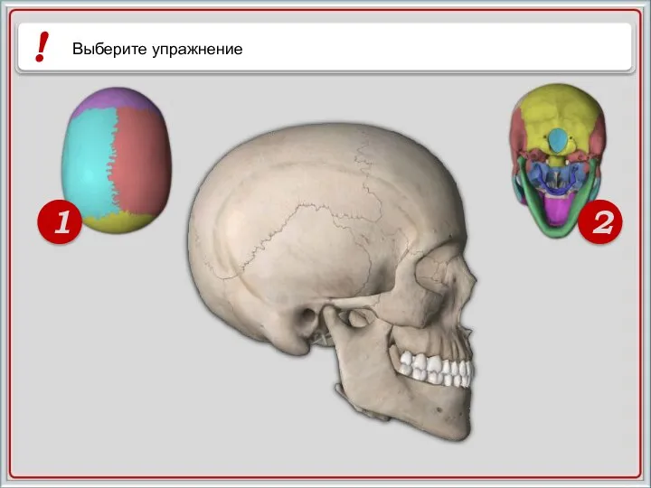 1 2 ! Выберите упражнение