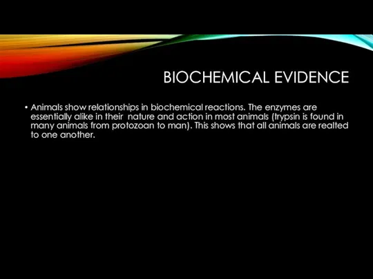 BIOCHEMICAL EVIDENCE Animals show relationships in biochemical reactions. The enzymes are essentially