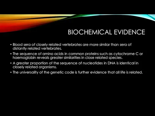 BIOCHEMICAL EVIDENCE Blood sera of closely related vertebrates are more similar than