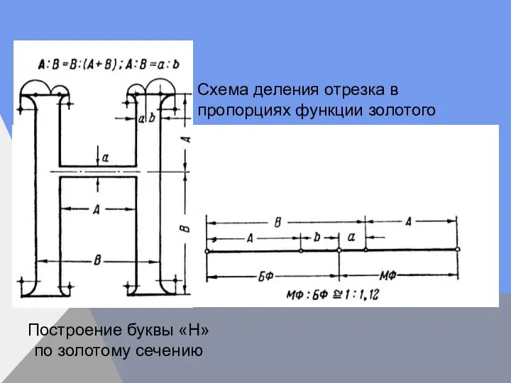 Схема деления отрезка в пропорциях функции золотого сечения Построение буквы «Н» по золотому сечению