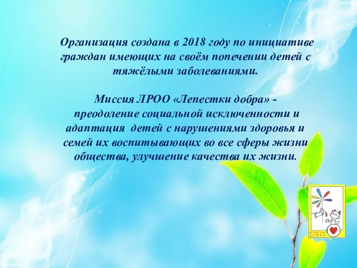 Организация создана в 2018 году по инициативе граждан имеющих на своём попечении