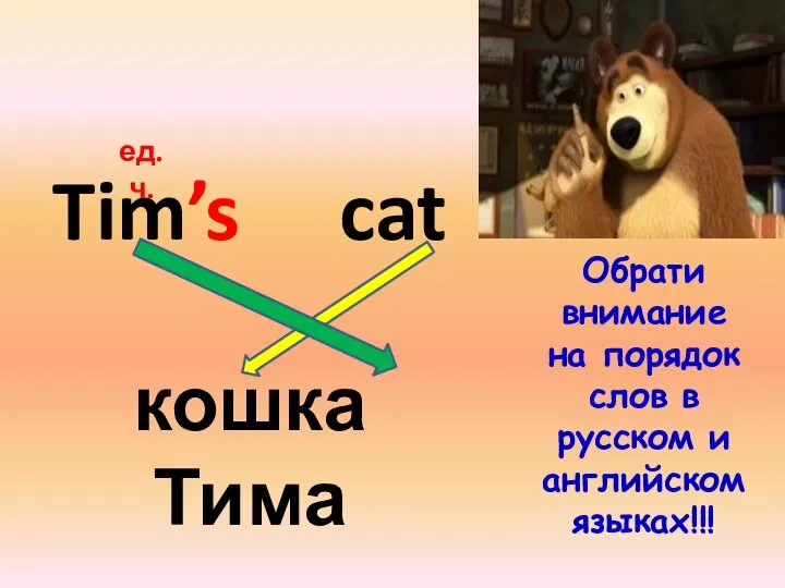 Tim’s cat кошка Тима Обрати внимание на порядок слов в русском и английском языках!!! ед.ч.