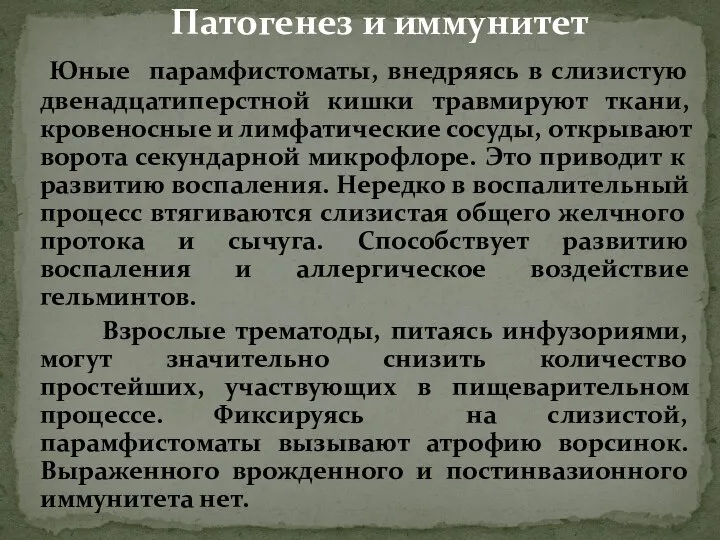 Патогенез и иммунитет Юные парамфистоматы, внедряясь в слизистую двенадцатиперстной кишки травмируют ткани,