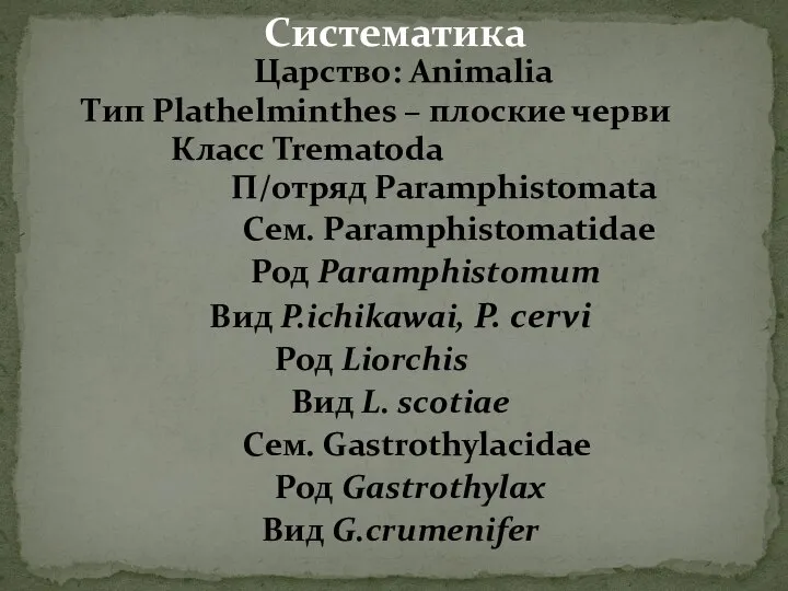 Царство: Animalia Тип Plathelminthes – плоские черви Класс Trematoda П/отряд Paramphistomata Сем.