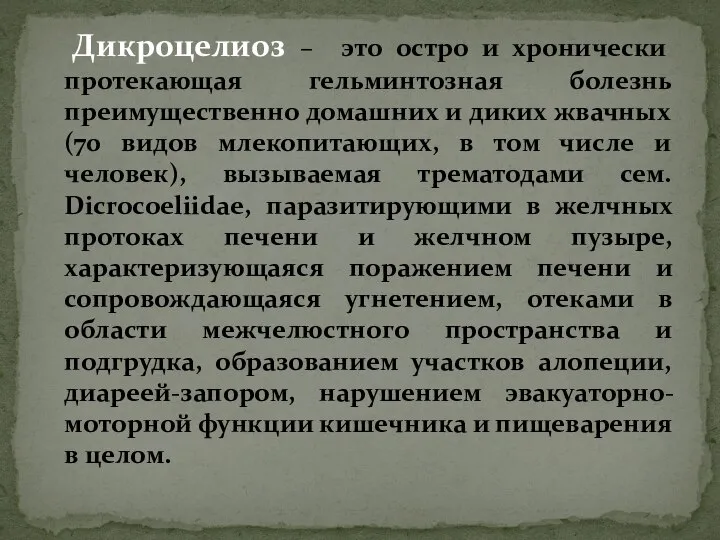 Дикроцелиоз – это остро и хронически протекающая гельминтозная болезнь преимущественно домашних и