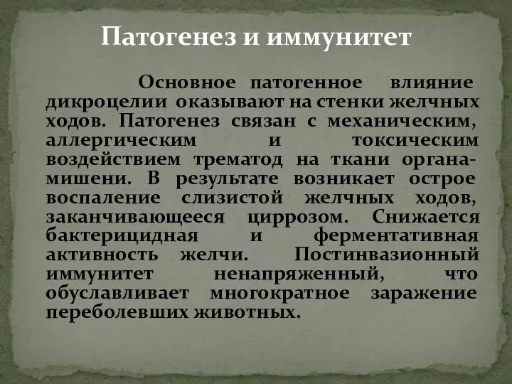 Основное патогенное влияние дикроцелии оказывают на стенки желчных ходов. Патогенез связан с