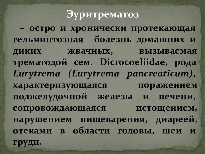 Эуритрематоз – остро и хронически протекающая гельминтозная болезнь домашних и диких жвачных,