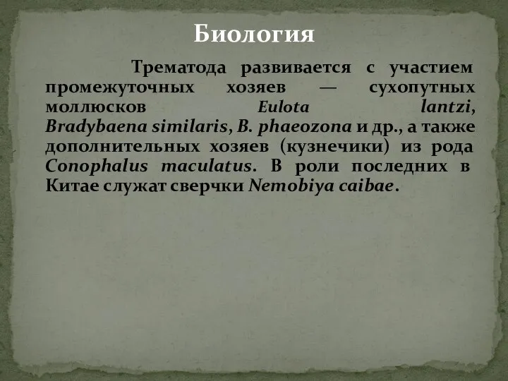 Трематода развивается с участием промежуточных хозяев — сухопутных моллюсков Eulota lantzi, Bradybaena