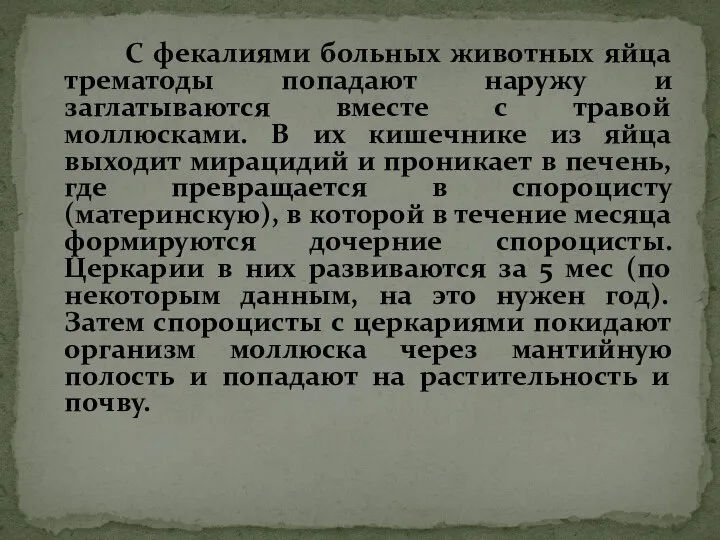 С фекалиями больных животных яйца трематоды попадают наружу и заглатываются вместе с