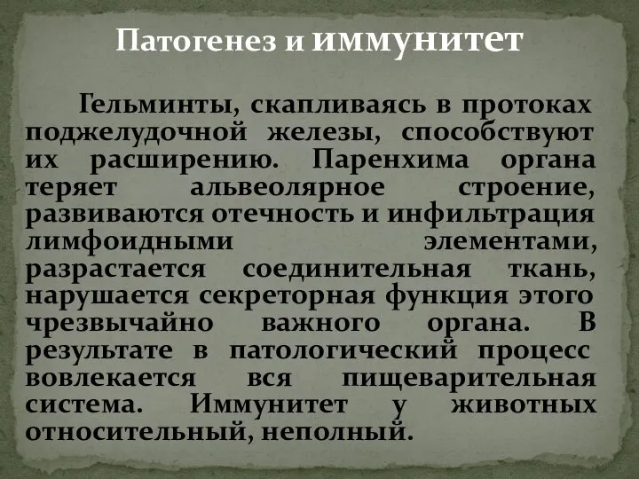 Гельминты, скапливаясь в протоках поджелудочной железы, способствуют их расширению. Паренхима органа теряет