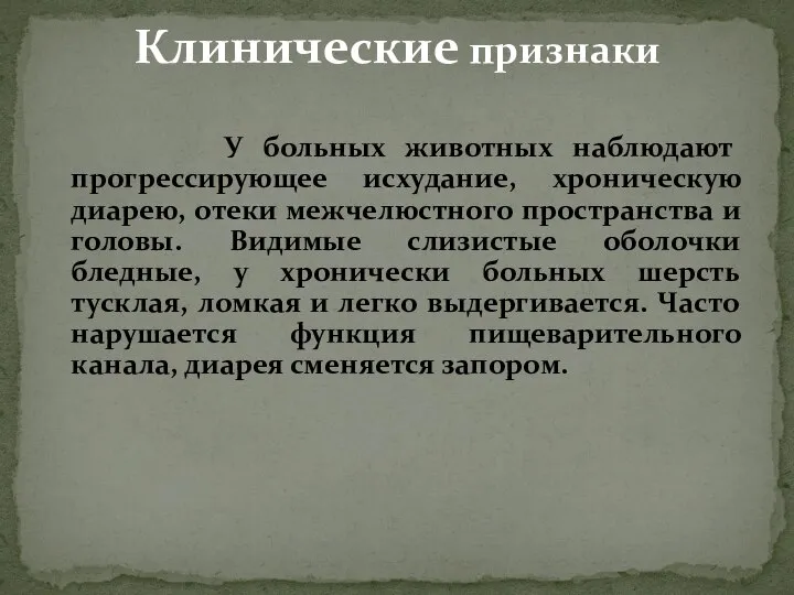 У больных животных наблюдают прогрессирующее исхудание, хроническую диарею, отеки межчелюстного пространства и