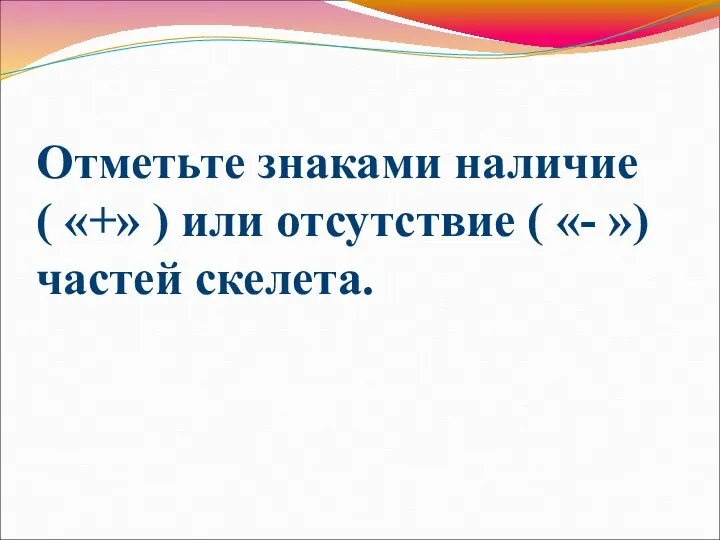 Отметьте знаками наличие ( «+» ) или отсутствие ( «- ») частей скелета.