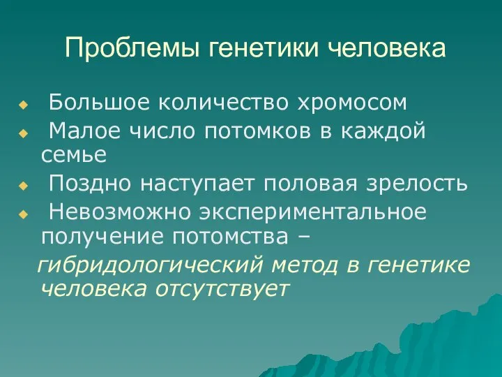 Проблемы генетики человека Большое количество хромосом Малое число потомков в каждой семье