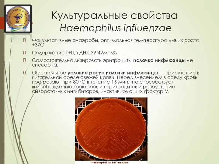 Культуральные свойства Haemophilus influenzae Факультативные анаэробы, оптимальная температура для их роста +37С