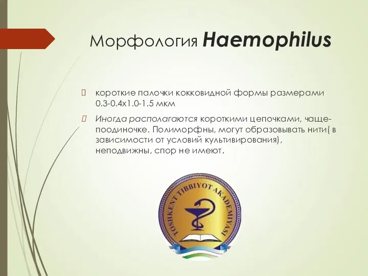 Морфология Haemophilus короткие палочки кокковидной формы размерами 0.3-0.4х1.0-1.5 мкм Иногда располагаются короткими