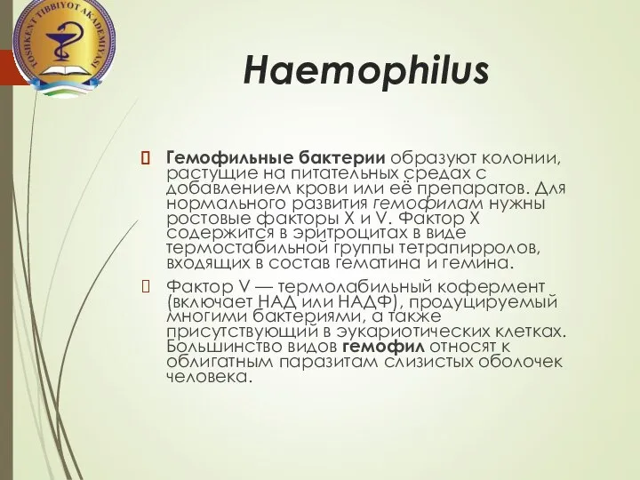 Haemophilus Гемофильные бактерии образуют колонии, растущие на питательных средах с добавлением крови