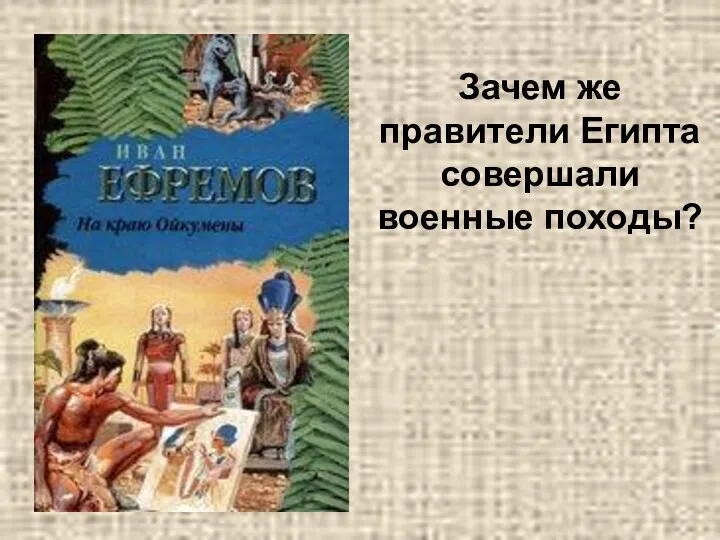 Зачем же правители Египта совершали военные походы?