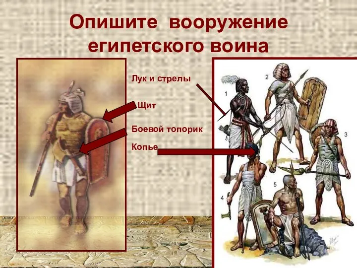 Опишите вооружение египетского воина Лук и стрелы Боевой топорик Копье Щит