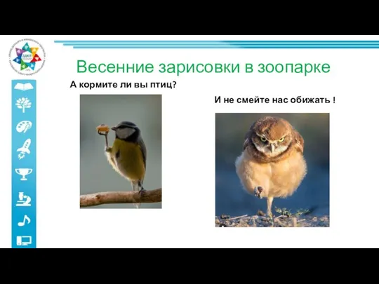 Весенние зарисовки в зоопарке А кормите ли вы птиц? И не смейте нас обижать !