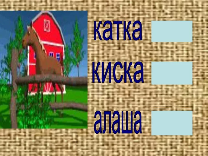 алаша катка киска