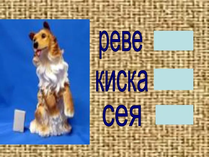 реве киска сея