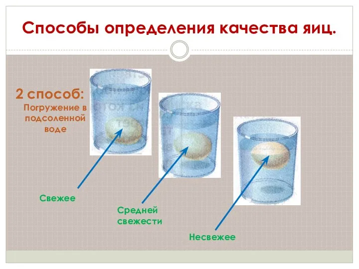 Способы определения качества яиц. 2 способ: Погружение в подсоленной воде Свежее Средней свежести Несвежее