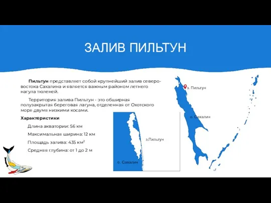 ЗАЛИВ ПИЛЬТУН Пильтун представляет собой крупнейший залив северо-востока Сахалина и является важным