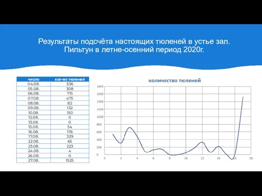 Результаты подсчёта настоящих тюленей в устье зал. Пильтун в летне-осенний период 2020г.