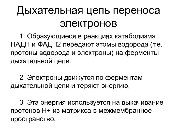 Дыхательная цепь переноса электронов 1. Образующиеся в реакциях катаболизма НАДН и ФАДН2